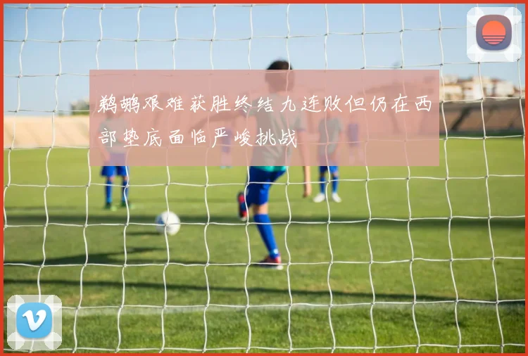 鹈鹕艰难获胜终结九连败但仍在西部垫底面临严峻挑战