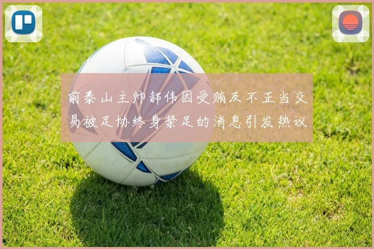 前泰山主帅郝伟因受贿及不正当交易被足协终身禁足的消息引发热议